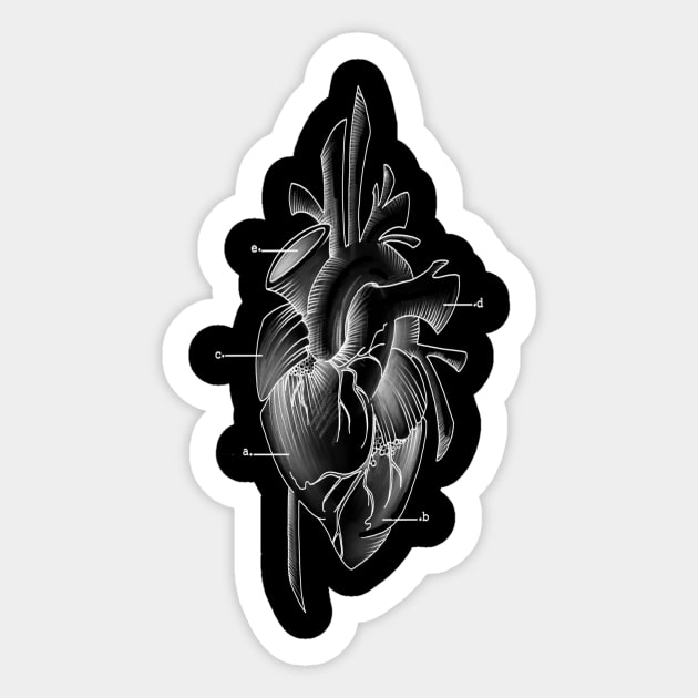 anatomical heart Sticker by elywick